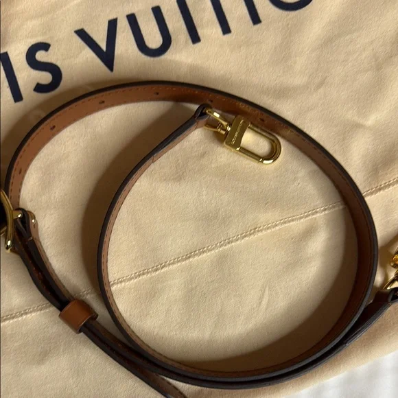 Louis Vuitton Reverse Monogram Canvas Loop Hobo - Picture 13 of 15